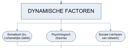 c) Etiologische factoren Kwetsbaarheid & weerbaarheid Genetische aanleg Temperament Leergeschiedenis Conditionering Beschadiging Omgeving Gebeurtenissen Trauma 13 14