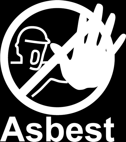 GEZONDHEID: Wonen vb asbest 2001: productie verboden in