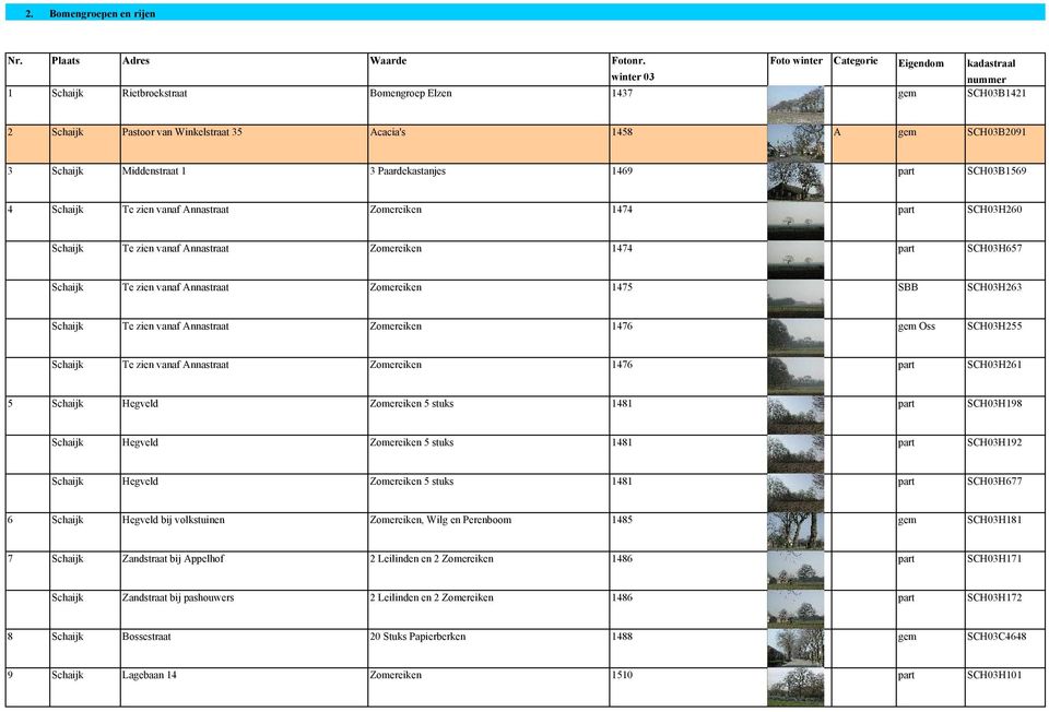 Schaijk Middenstraat 1 3 Paardekastanjes 1469 part SCH03B1569 4 Schaijk Te zien vanaf Annastraat Zomereiken 1474 part SCH03H260 Schaijk Te zien vanaf Annastraat Zomereiken 1474 part SCH03H657 Schaijk