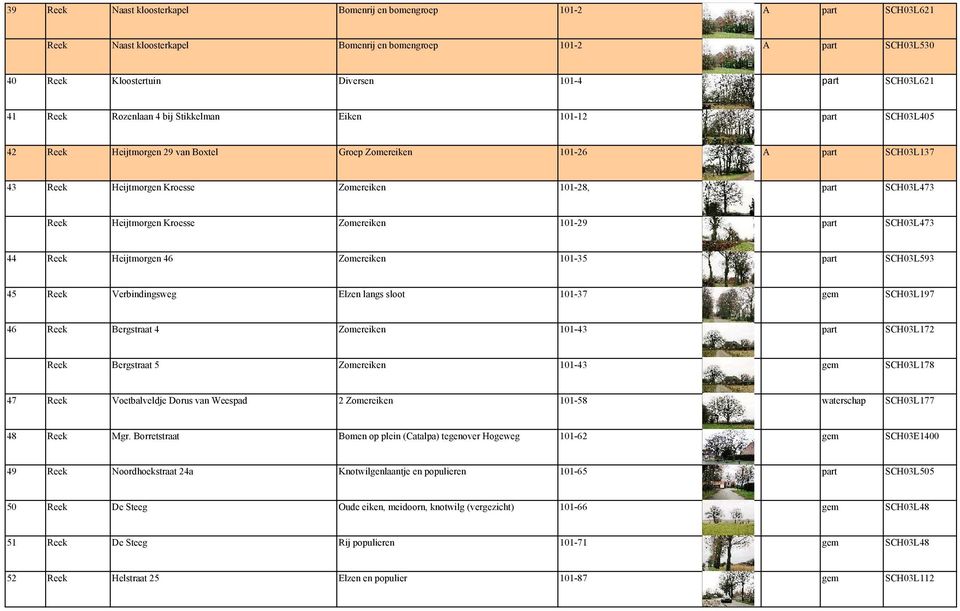 Reek Heijtmorgen Kroesse Zomereiken 101-29 part SCH03L473 44 Reek Heijtmorgen 46 Zomereiken 101-35 part SCH03L593 45 Reek Verbindingsweg Elzen langs sloot 101-37 gem SCH03L197 46 Reek Bergstraat 4