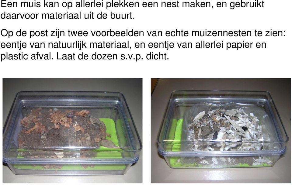 Op de post zijn twee voorbeelden van echte muizennesten te zien: