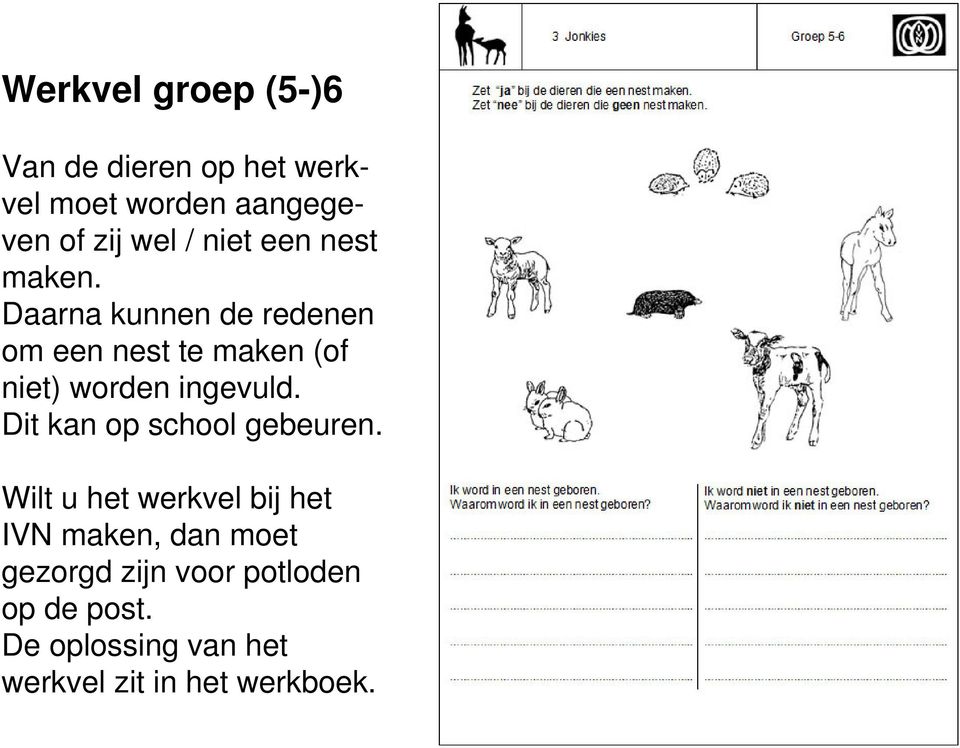 Daarna kunnen de redenen om een nest te maken (of niet) worden ingevuld.