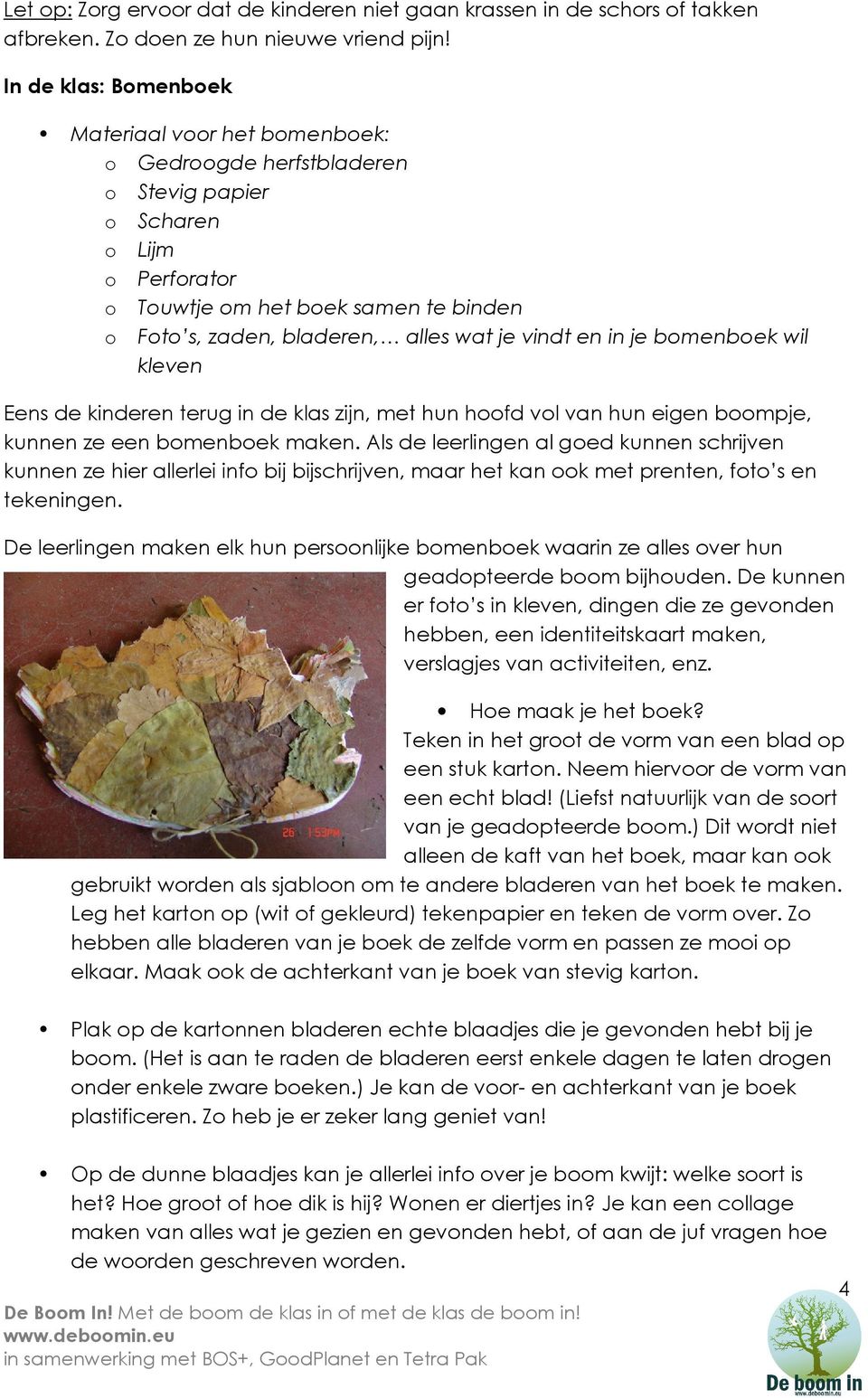 je vindt en in je bomenboek wil kleven Eens de kinderen terug in de klas zijn, met hun hoofd vol van hun eigen boompje, kunnen ze een bomenboek maken.