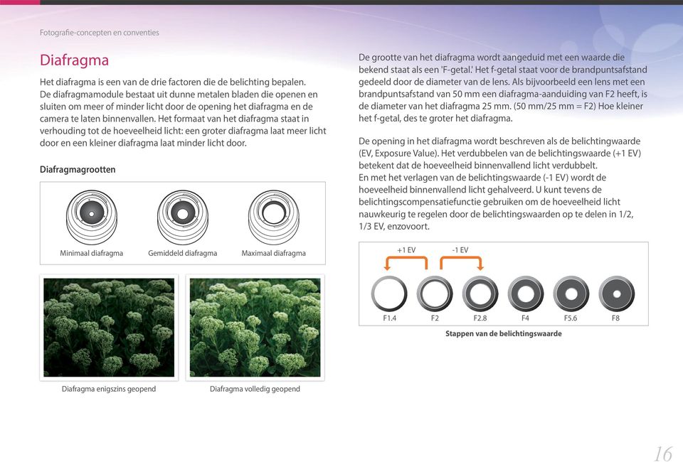 Het formaat van het diafragma staat in verhouding tot de hoeveelheid licht: een groter diafragma laat meer licht door en een kleiner diafragma laat minder licht door.