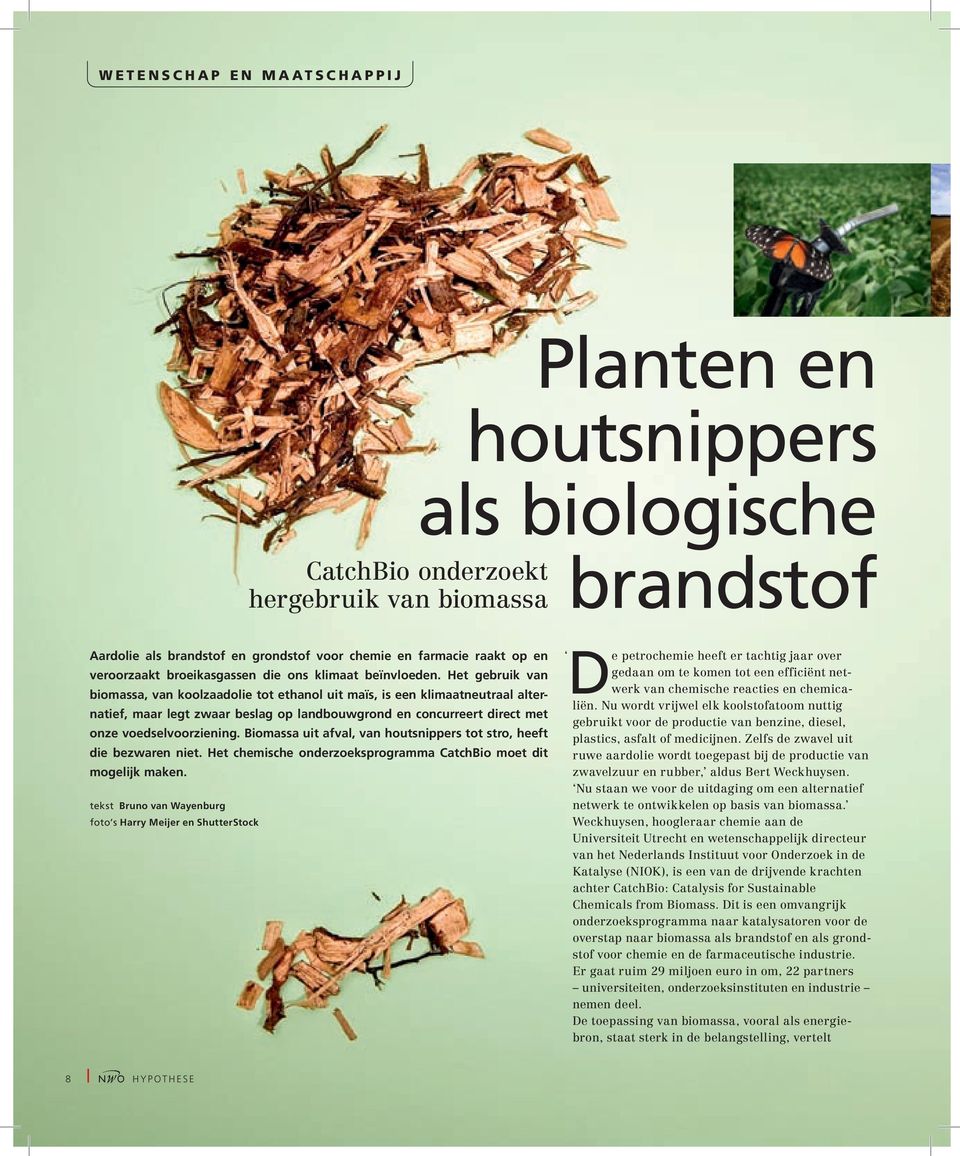 Het gebruik van biomassa, van koolzaadolie tot ethanol uit maïs, is een klimaatneutraal alternatief, maar legt zwaar beslag op landbouwgrond en concurreert direct met onze voedselvoorziening.