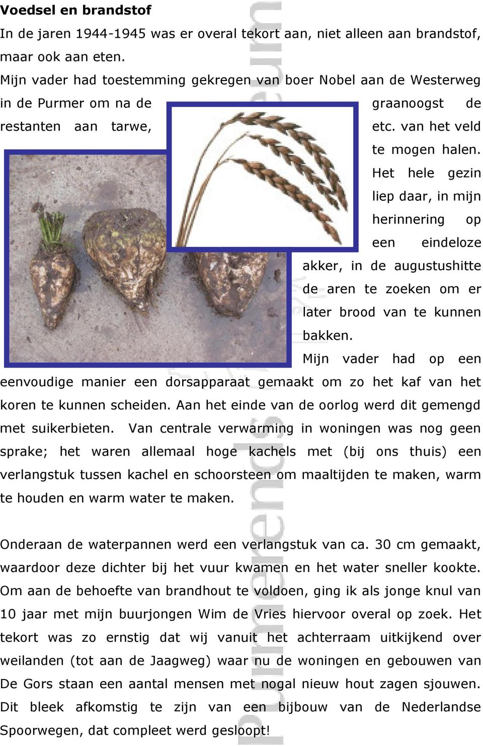 Het hele gezin liep daar, in mijn herinnering op een eindeloze akker, in de augustushitte de aren te zoeken om er later brood van te kunnen bakken.