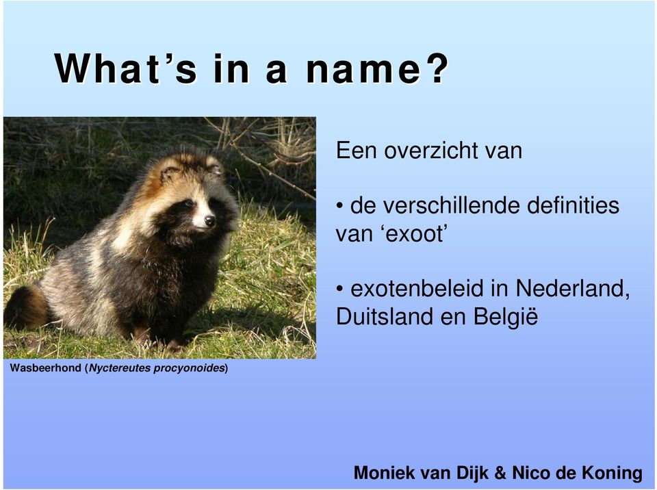 definities van exotenbeleid in