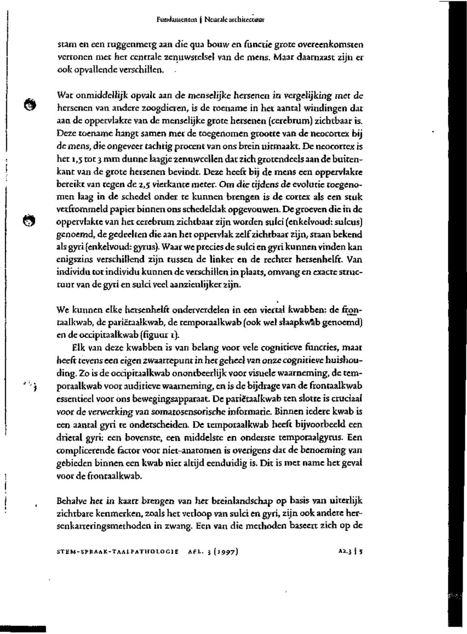 . Wat onmiddellijk opvalt aan de menselijke hersenen in vergelijking met de hersenen van andere zoogdieren, is de toename in het aantal windingen dat aan de oppervlakte van de menselijke grote