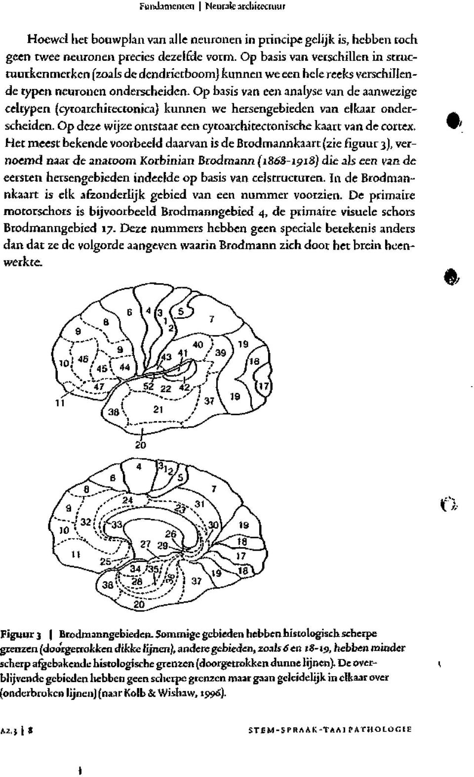 Op basis van een analyse van de aanwezige celtypen (cytoarchitectonica) kunnen we hersengebieden van elkaar onderscheiden. Op deze wijze ontstaat een cytoarchitectonische kaart van de cortex.