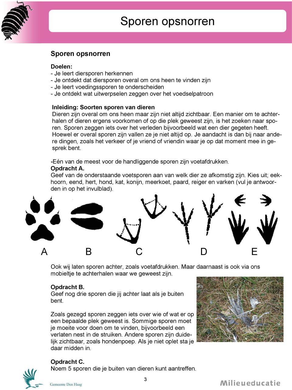 Een manier om te achterhalen of dieren ergens voorkomen of op die plek geweest zijn, is het zoeken naar sporen. Sporen zeggen iets over het verleden bijvoorbeeld wat een dier gegeten heeft.