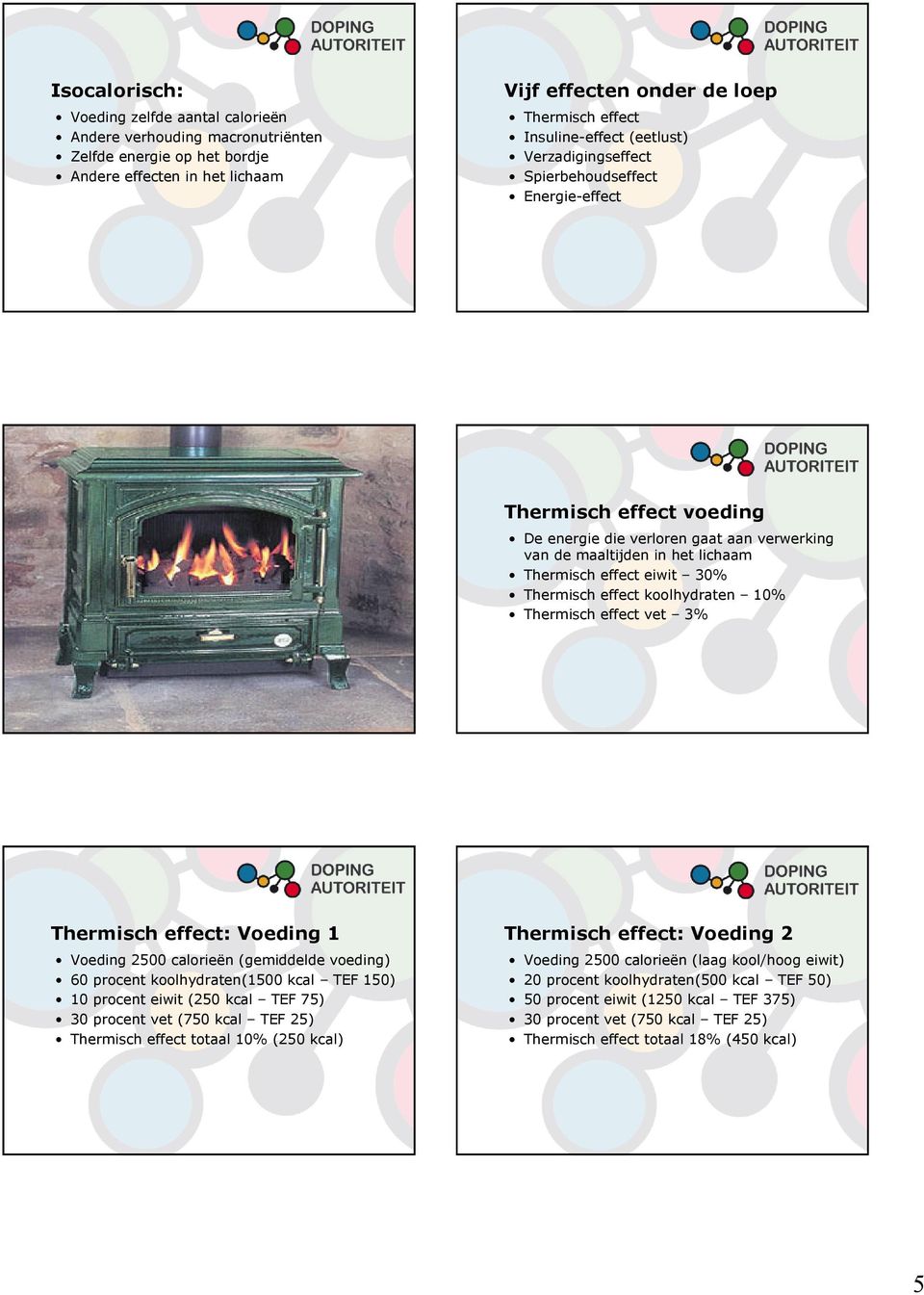 eiwit 30% Thermisch effect koolhydraten 10% Thermisch effect vet 3% Thermisch effect: Voeding 1 Voeding 2500 calorieën (gemiddelde voeding) 60 procent koolhydraten(1500 kcal TEF 150) 10 procent eiwit