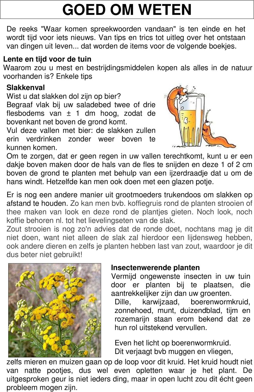 Enkele tips Slakkenval Wist u dat slakken dol zijn op bier? Begraaf vlak bij uw saladebed twee of drie flesbodems van ± 1 dm hoog, zodat de bovenkant net boven de grond komt.