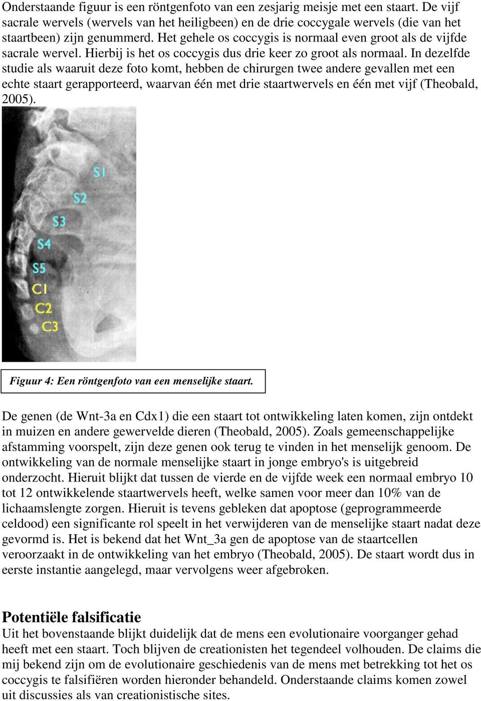 Hierbij is het os coccygis dus drie keer zo groot als normaal.