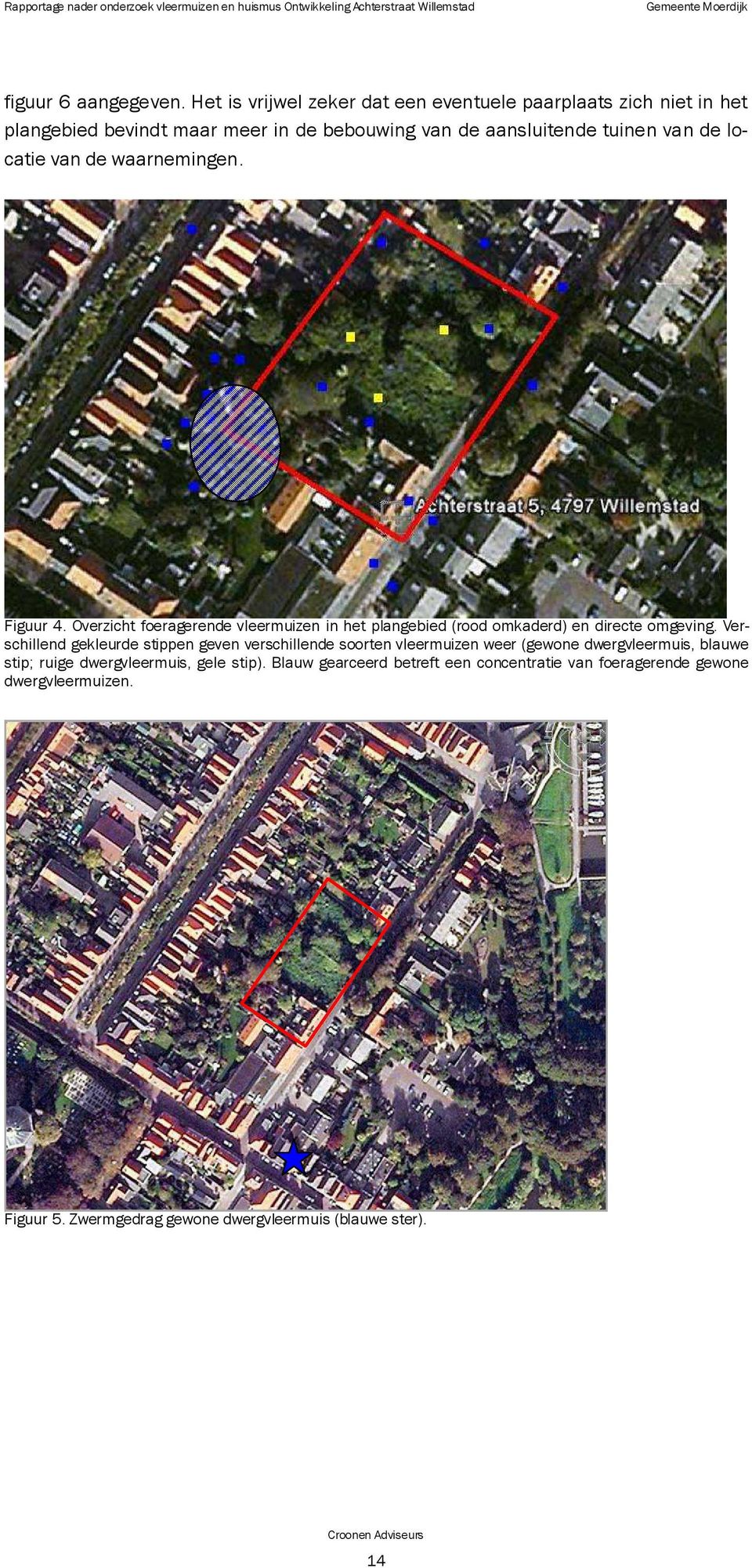 waarnemingen. Figuur 4. Overzicht foeragerende vleermuizen in het plangebied (rood omkaderd) en directe omgeving.