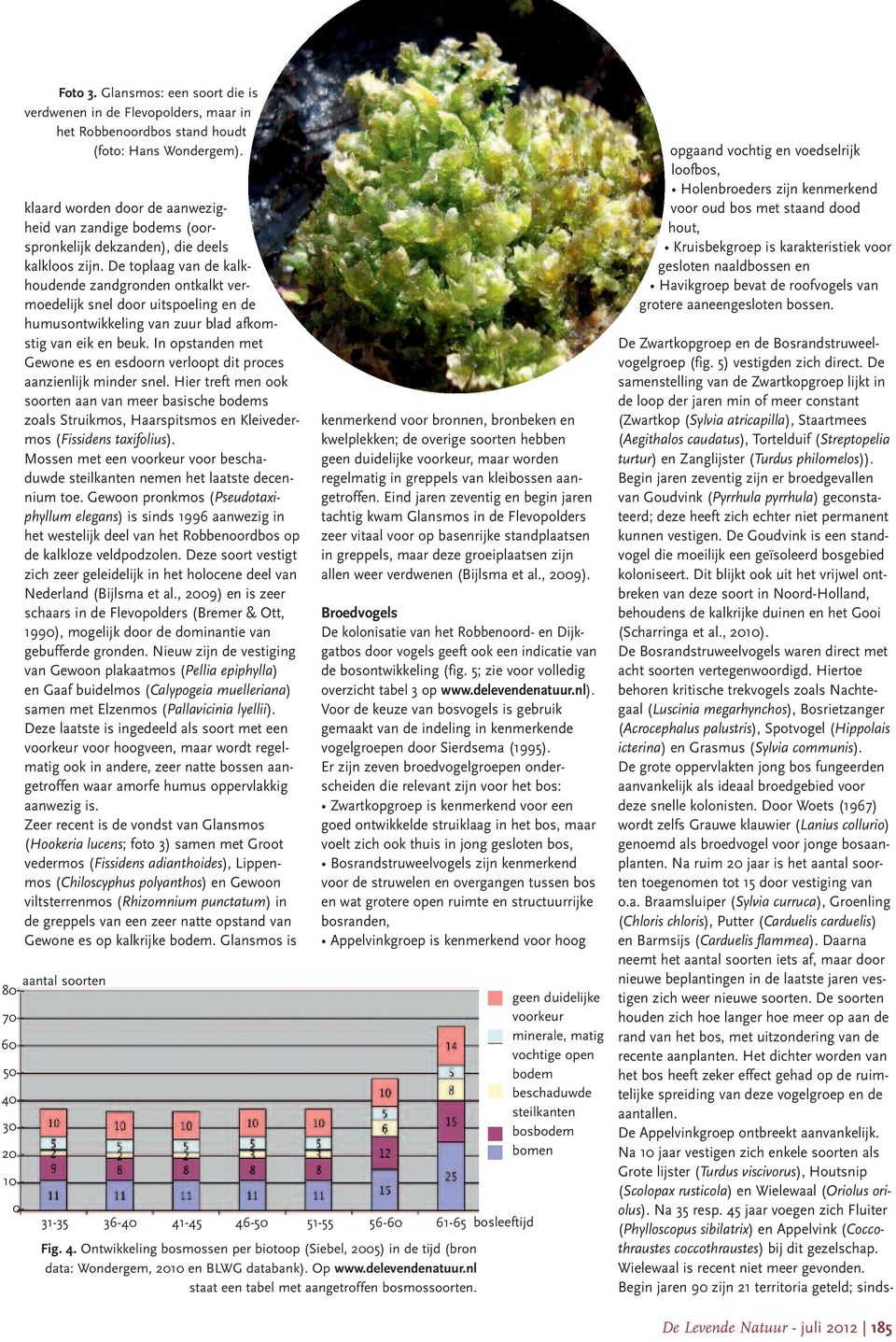 De toplaag van de kalkhoudende zandgronden ontkalkt vermoedelijk snel door uitspoeling en de humusontwikkeling van zuur blad afkomstig van eik en beuk.