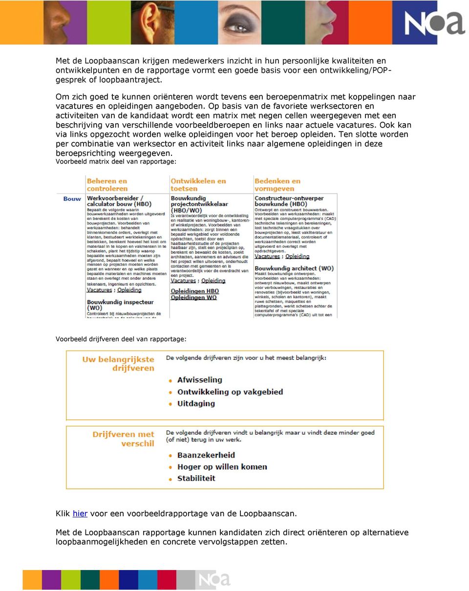 Op basis van de favoriete werksectoren en activiteiten van de kandidaat wordt een matrix met negen cellen weergegeven met een beschrijving van verschillende voorbeeldberoepen en links naar actuele