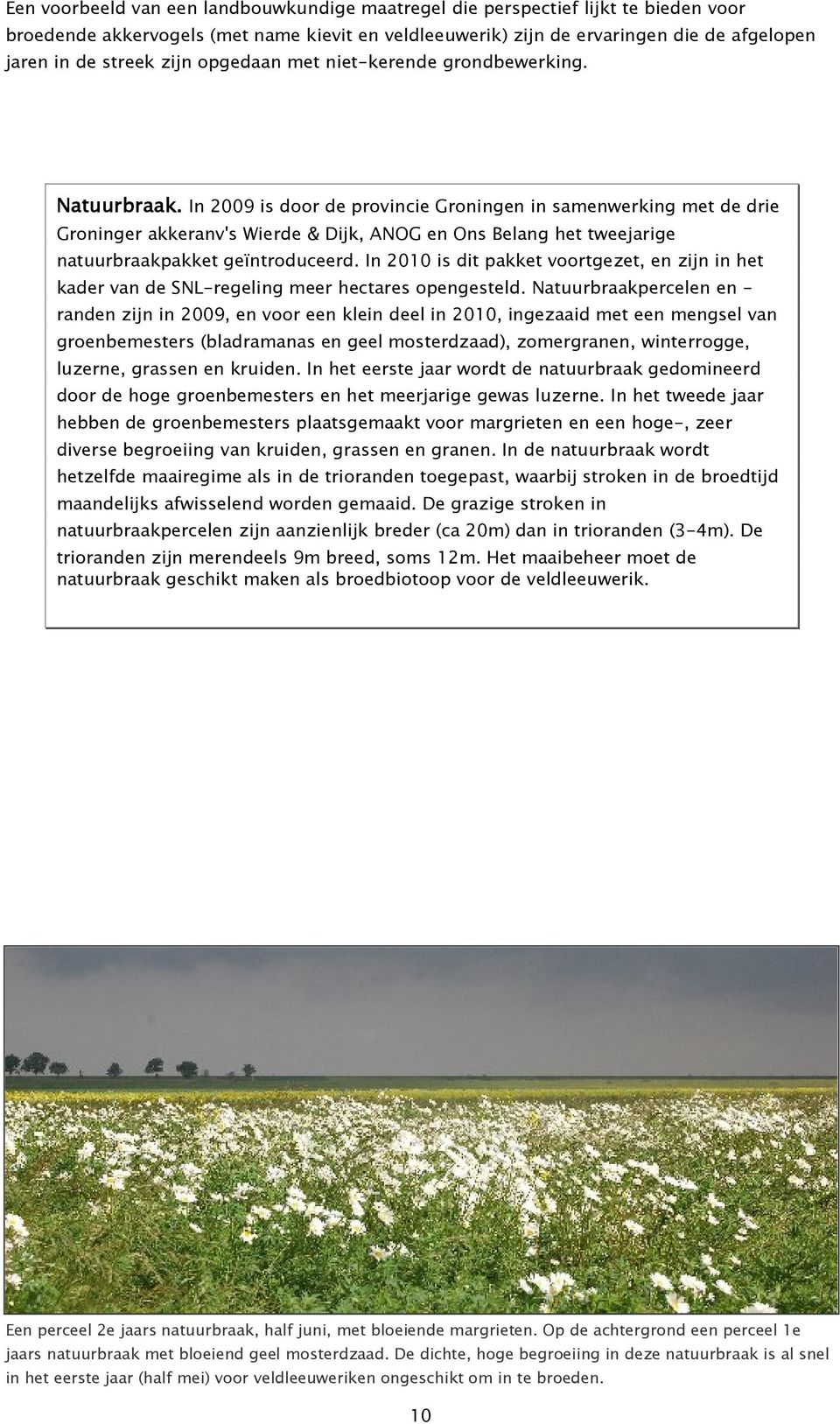 In 2009 is door de provincie Groningen in samenwerking met de drie Groninger akkeranv's Wierde & Dijk, ANOG en Ons Belang het tweejarige natuurbraakpakket geïntroduceerd.