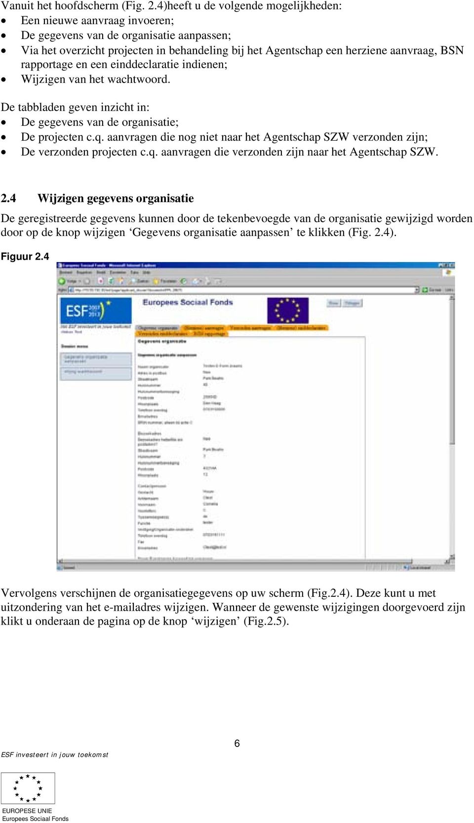 rapportage en een einddeclaratie indienen; Wijzigen van het wachtwoord. De tabbladen geven inzicht in: De gegevens van de organisatie; De projecten c.q.