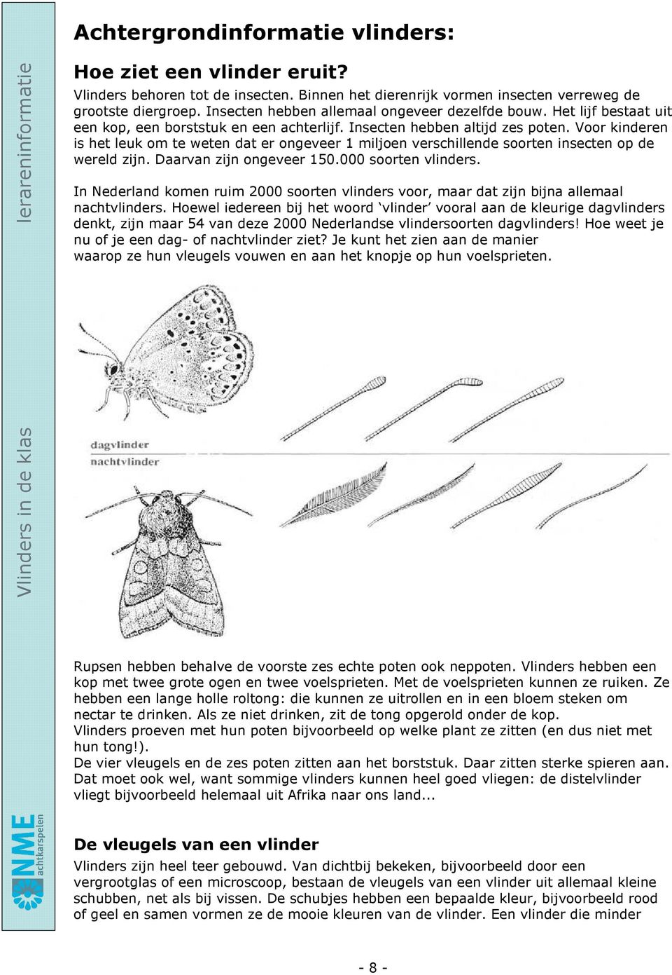 Insecten hebben altijd zes poten. Voor kinderen is het leuk om te weten dat er ongeveer 1 miljoen verschillende soorten insecten op de wereld zijn. Daarvan zijn ongeveer 150.000 soorten vlinders.