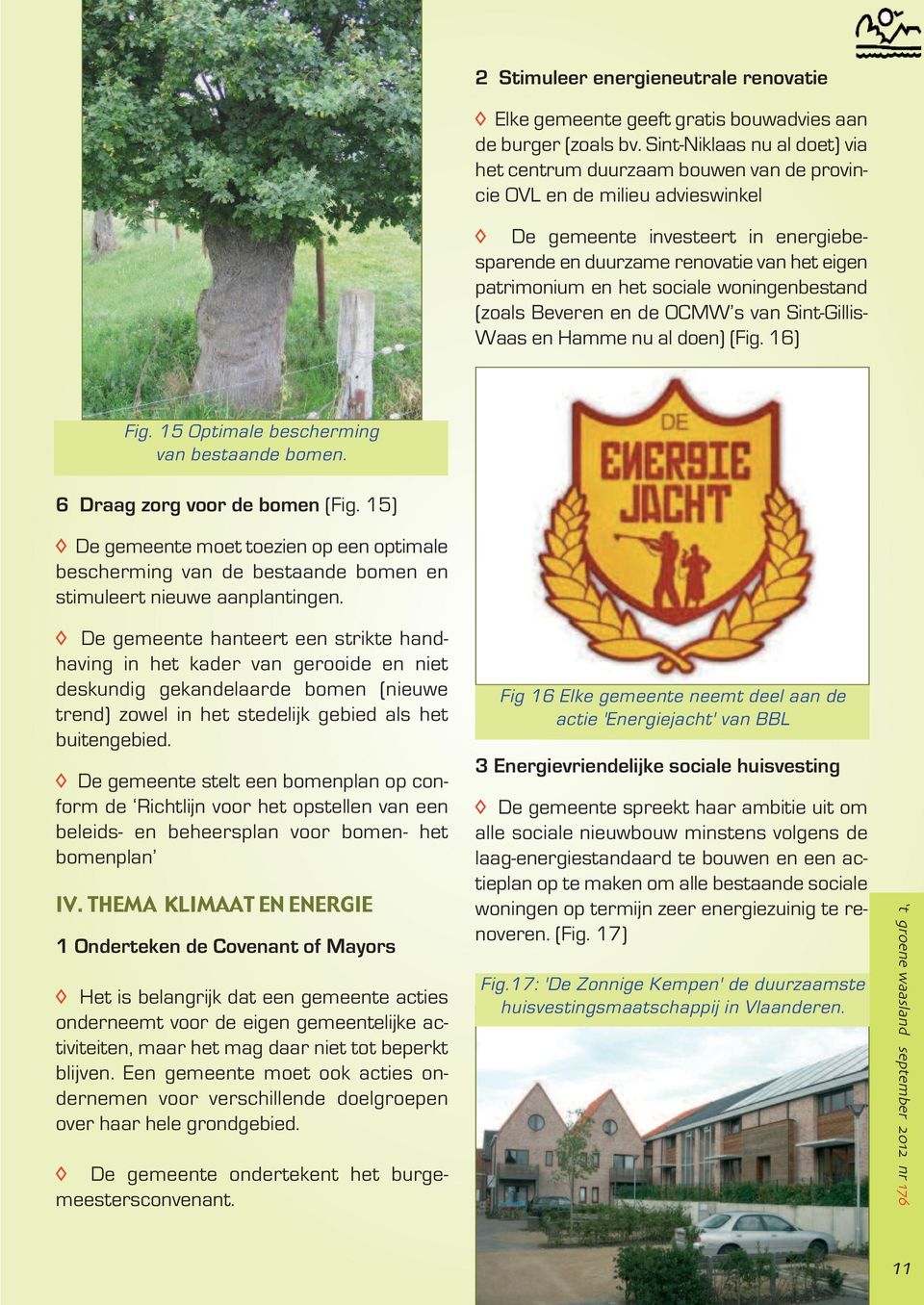 het sociale woningenbestand (zoals Beveren en de OCMW s van Sint-Gillis- Waas en Hamme nu al doen) (Fig. 16) Fig. 15 Optimale bescherming van bestaande bomen. 6 Draag zorg voor de bomen (Fig.