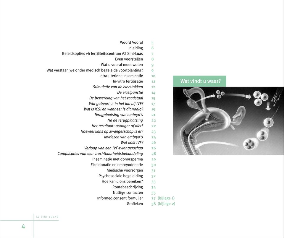 17 Wat is ICSI en wanneer is dit nodig? 19 Terugplaatsing van embryo s 21 Na de terugplaatsing 22 Het resultaat: zwanger of niet? 22 Hoeveel kans op zwangerschap is er?