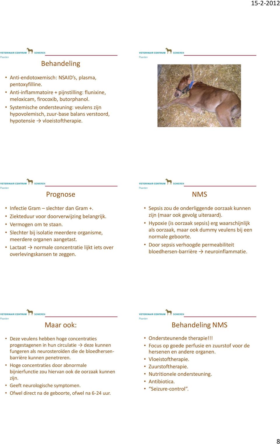 organisme, meerdere organen aangetast Lactaat normale concentratie lijkt iets over overlevingskansen te zeggen NMS Sepsis zou de onderliggende oorzaak kunnen zijn (maar ook gevolg uiteraard) Hypoxie