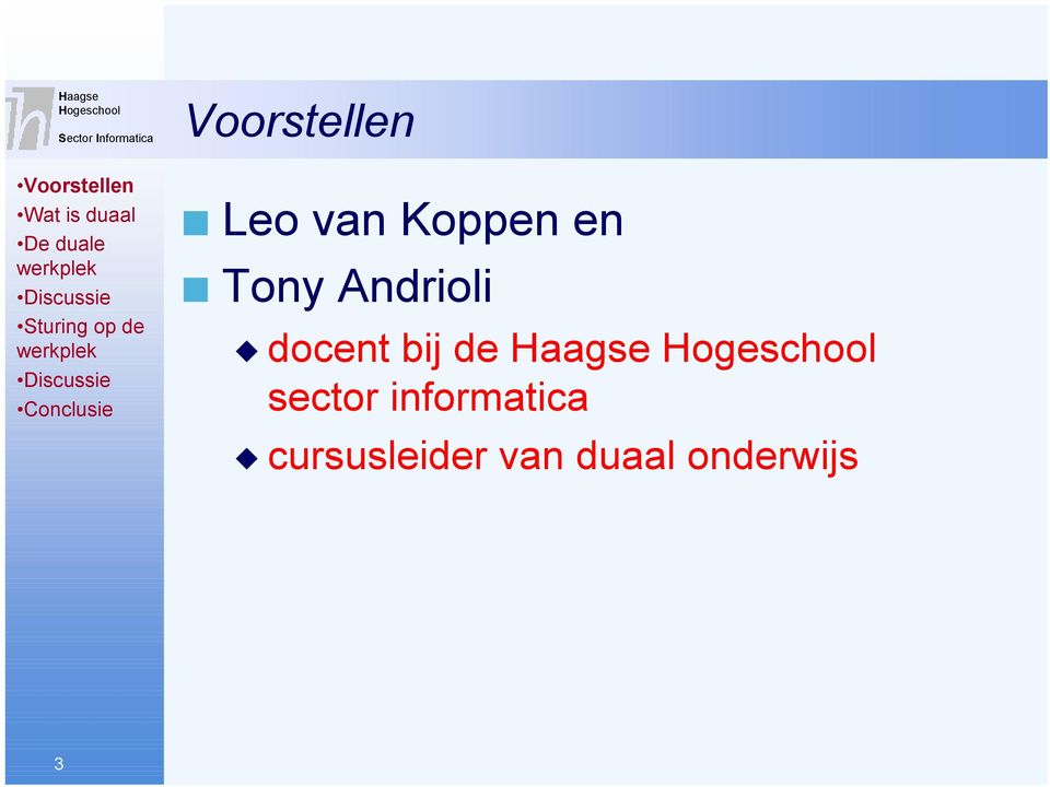 Haagse sector informatica