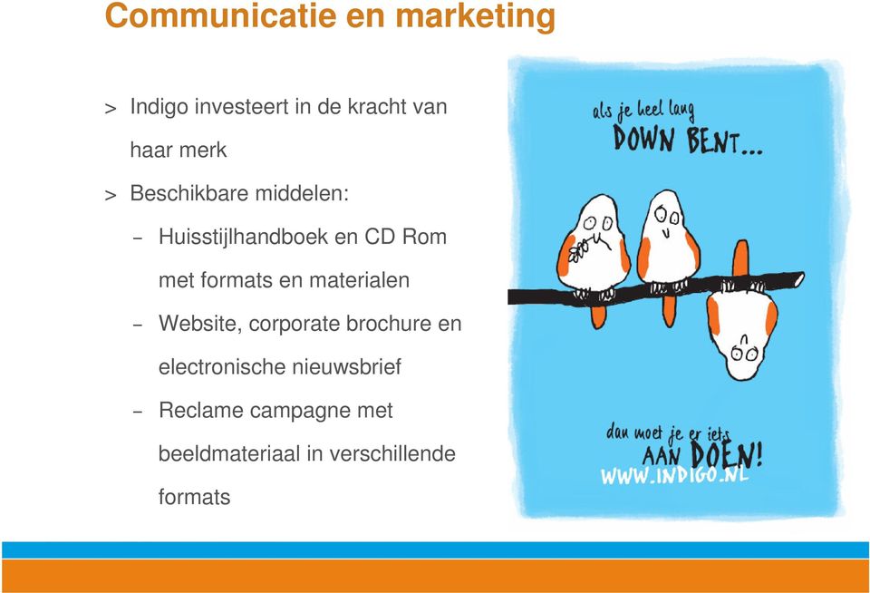 formats en materialen Website, corporate brochure en electronische