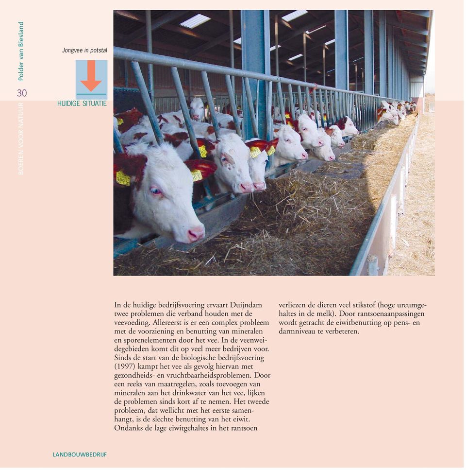 Sinds de start van de biologische bedrijfsvoering (1997) kampt het vee als gevolg hiervan met gezondheids- en vruchtbaarheidsproblemen.