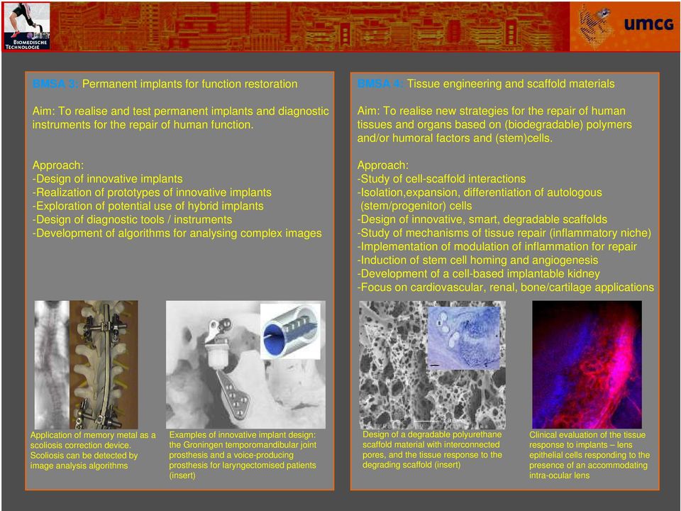 algorithms for analysing complex images BMSA 4: Tissue engineering and scaffold materials Aim: To realise new strategies for the repair of human tissues and organs based on (biodegradable) polymers