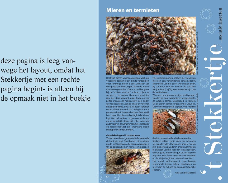 Dat is vooral het geval bij de sociale insecten : mieren, bijen en wespen en termieten. Mieren en termieten zijn niet sterk verwant, maar leven op een zelfde manier.