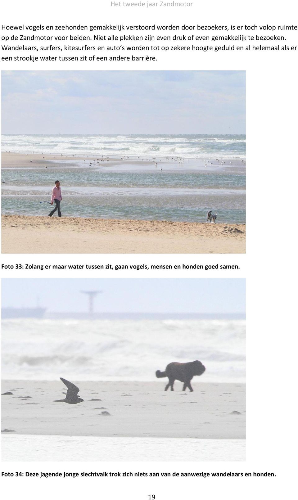 Wandelaars, surfers, kitesurfers en auto s worden tot op zekere hoogte geduld en al helemaal als er een strookje water tussen zit of