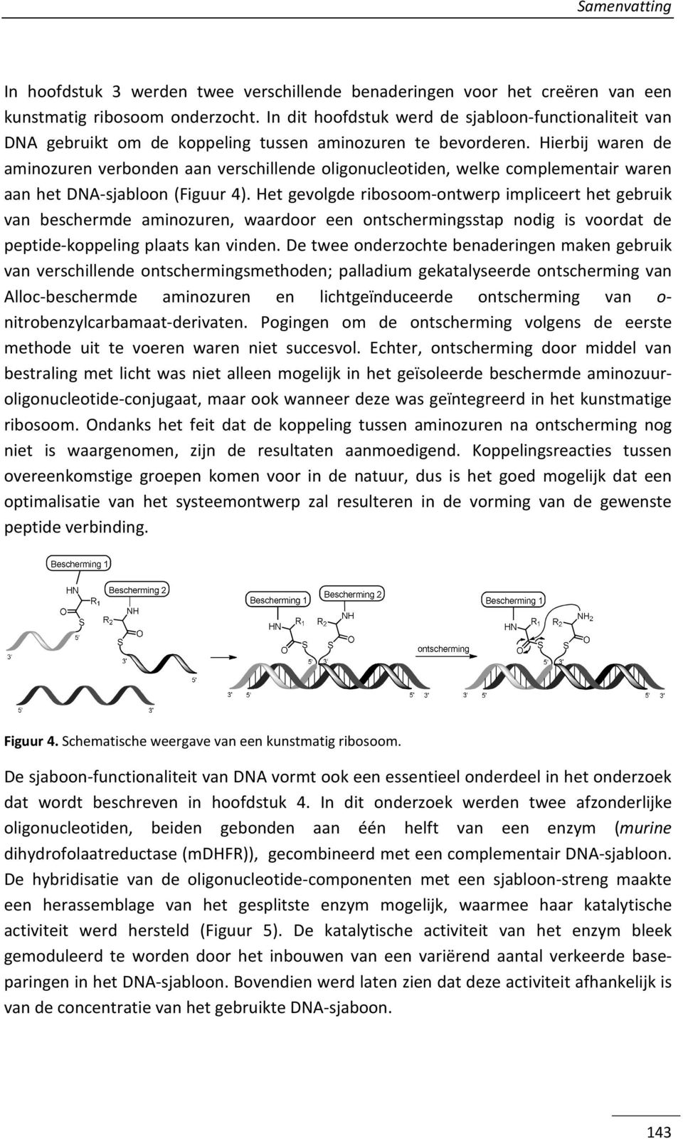 ierbij waren de aminozuren verbonden aan verschillende oligonucleotiden, welke complementair waren aan het DA-sjabloon (Figuur 4).