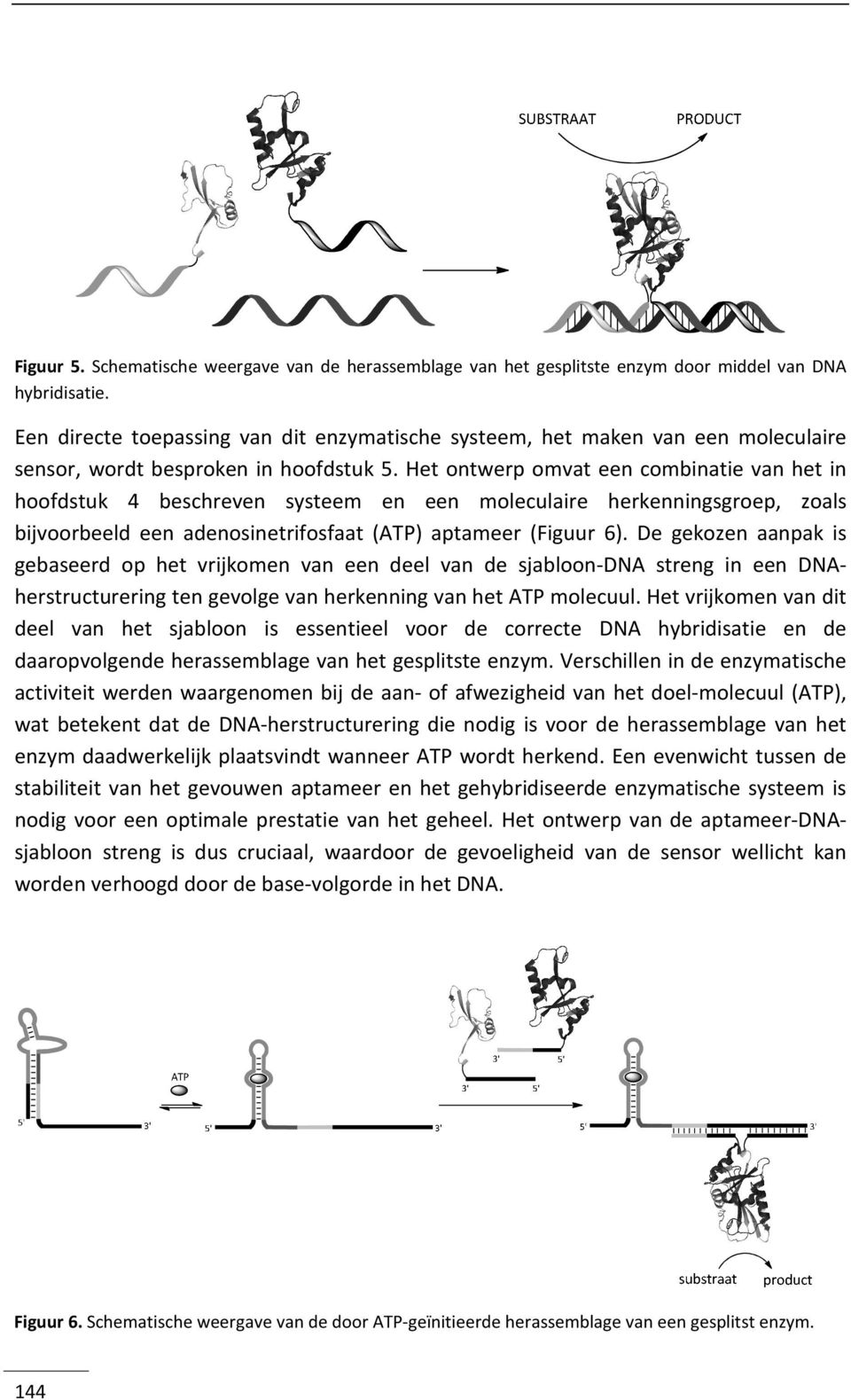 et ontwerp omvat een combinatie van het in hoofdstuk 4 beschreven systeem en een moleculaire herkenningsgroep, zoals bijvoorbeeld een adenosinetrifosfaat (ATP) aptameer (Figuur 6).