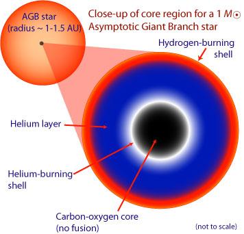 Mira sterren Rode reuzen die pulseren Typisch Periode >100dagen, variatie > 1 mag Max 2 Msol maar >1000 Lsol!