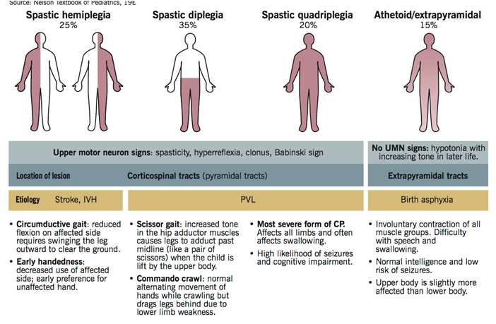 Beoordelen van afwijking: Klinische en radiologische evaluatie in frontaal, sagittaal en axiale vlak. Hoe zijn de gewrichten? Hoe is het contralaterale been?