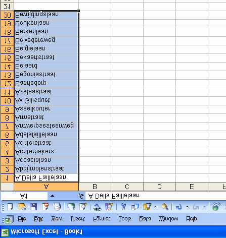 Stap 2: Selecteer in Excel, Word, Kladblok, een lijst met straatnamen en plak deze in het straatnamenscherm. 13.