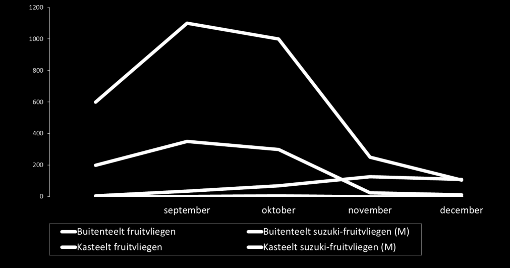 vangsten september-december Aantal gevangen vliegen