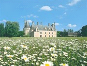 abdijen in overvloed: Villandry, Azay le Rideau, Ussé, het wereldberoemde Fontevraud l Abbaye en zeer zeker het kasteel van Brézé.