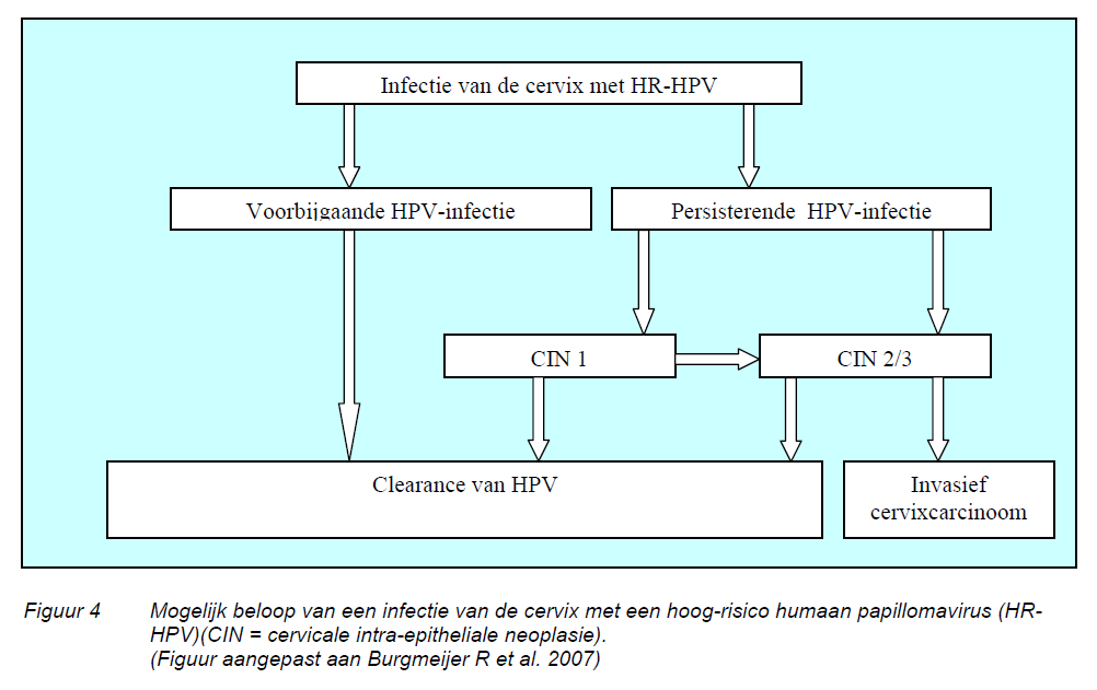 HPV PRECANCEREUZE LETSELS EN