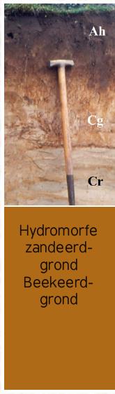 Stap 5 Bodemtype Hoe een bodem heet is afhankelijk van bodemclassificatiesysteem: FAO/UNESCO Soil Map of the World US Soil Taxonomy Nederlands