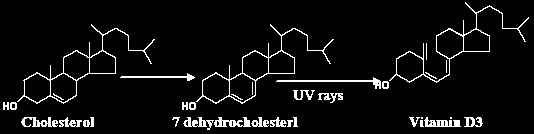 Spierklachten en vermoeidheid