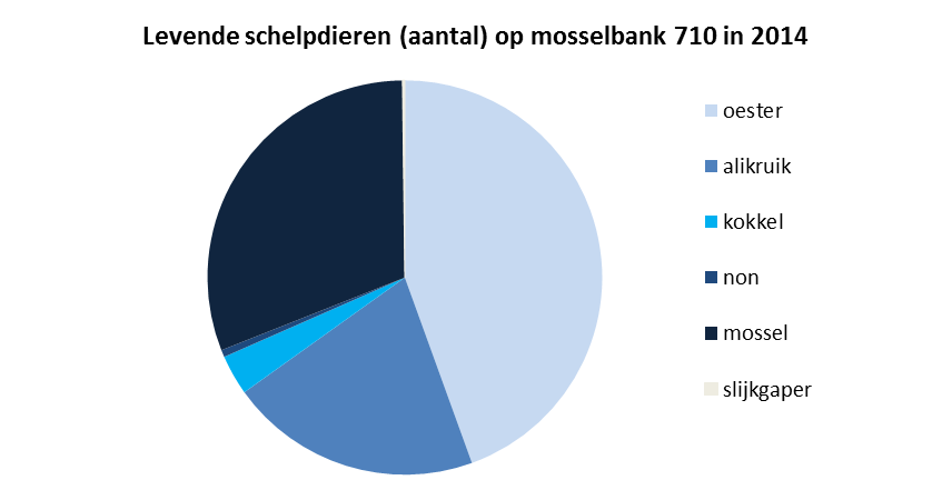 Figuur 3.32 Samenstelling gemeenschap (gemiddeld gewicht) van 2006 tot 2014 en verdeling van de aantallen schelpdieren en slakken in 2014 op mosselbank 710 (vierkant-monsters 1/20 m²).