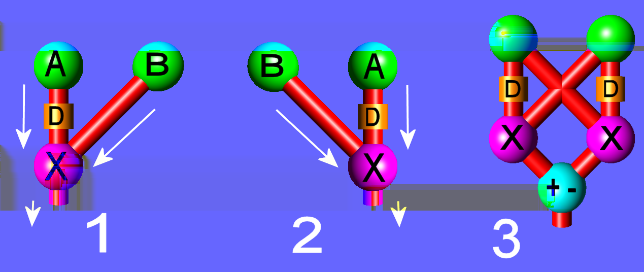 41 Een eenvoudige instantie van een Reichardt correlator is te zien in figuur 40-1.