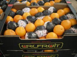 Urufruit-RED SALUSTIANA!! Aanvoer volop, grote maten (64 t/m 72) in open top (ca. 5.5-6 kg) en de maten 88 t/m 3 in telescoop dozen (ca. 5-5.5 kg) van ontzettend lekker fruit, daar kunt u mee scoren!