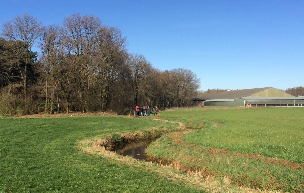 Foto van de knik in de Peelse Loop halverwege traject VII. De beek is hier ooit door een dekzandrug gegraven en daarna meer gaan meanderen.