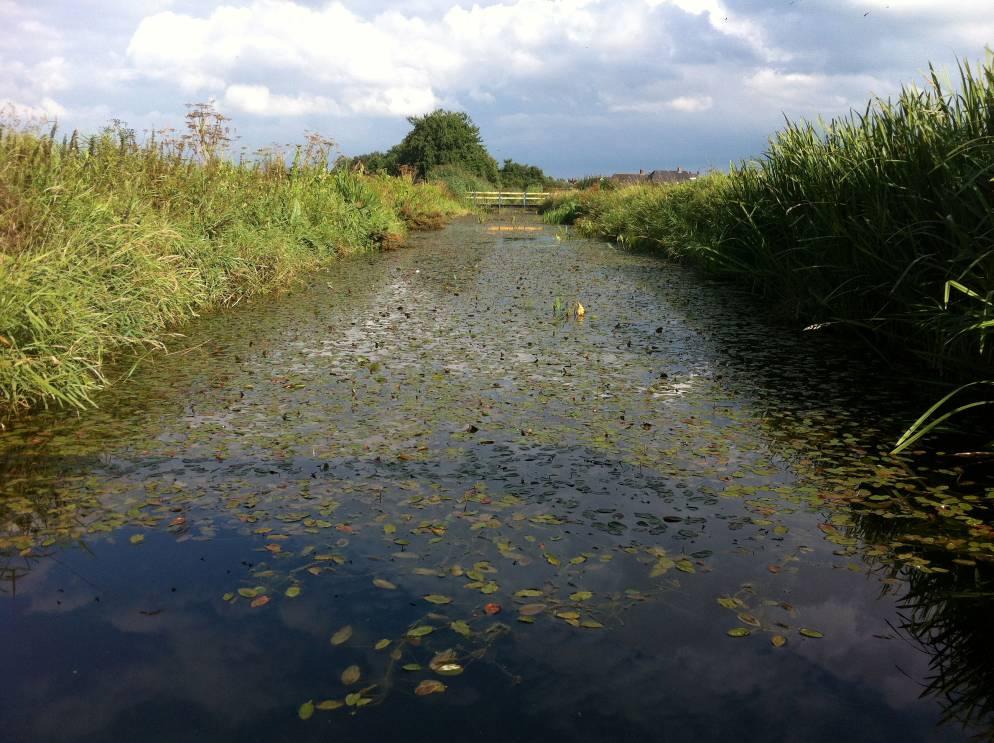 figuur 3.22. Dwarsprofiel halverwege traject II foto van traject II juist stroomafwaarts van de woonwijk Doonheide. De beek is hier vrij breed en diep en groeit s zomers vol met waterplanten. 3.6.