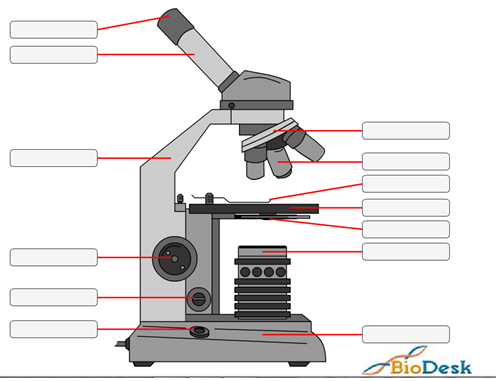 23. Hieronder zie je een microscoop. Misschien heb je daar al eens mee gewerkt. Met een microscoop kun je meer zien dan je met je eigen ogen kunt.