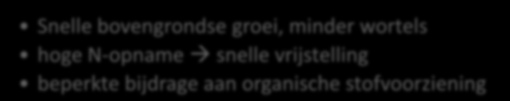 SOORTEN GROENBEDEKKERS Bladrijke gele mosterd, bladrammenas, phacelia Snelle bovengrondse groei, minder wortels hoge N-opname snelle vrijstelling beperkte bijdrage aan organische stofvoorziening