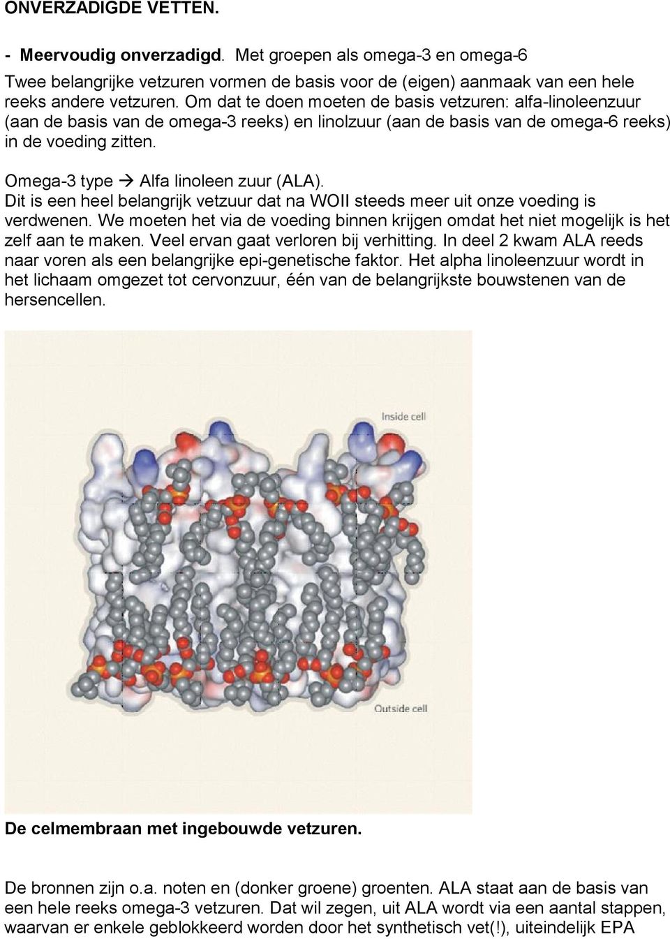 Omega-3 type Alfa linoleen zuur (ALA). Dit is een heel belangrijk vetzuur dat na WOII steeds meer uit onze voeding is verdwenen.